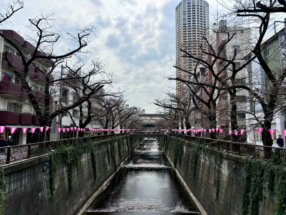 現在の様子の画像